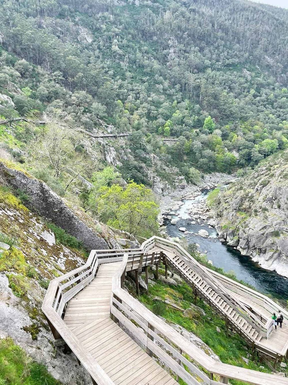 Scenic mountain trail and wooden walkway along river in lush forest landscape, adventure and nature hiking destination.