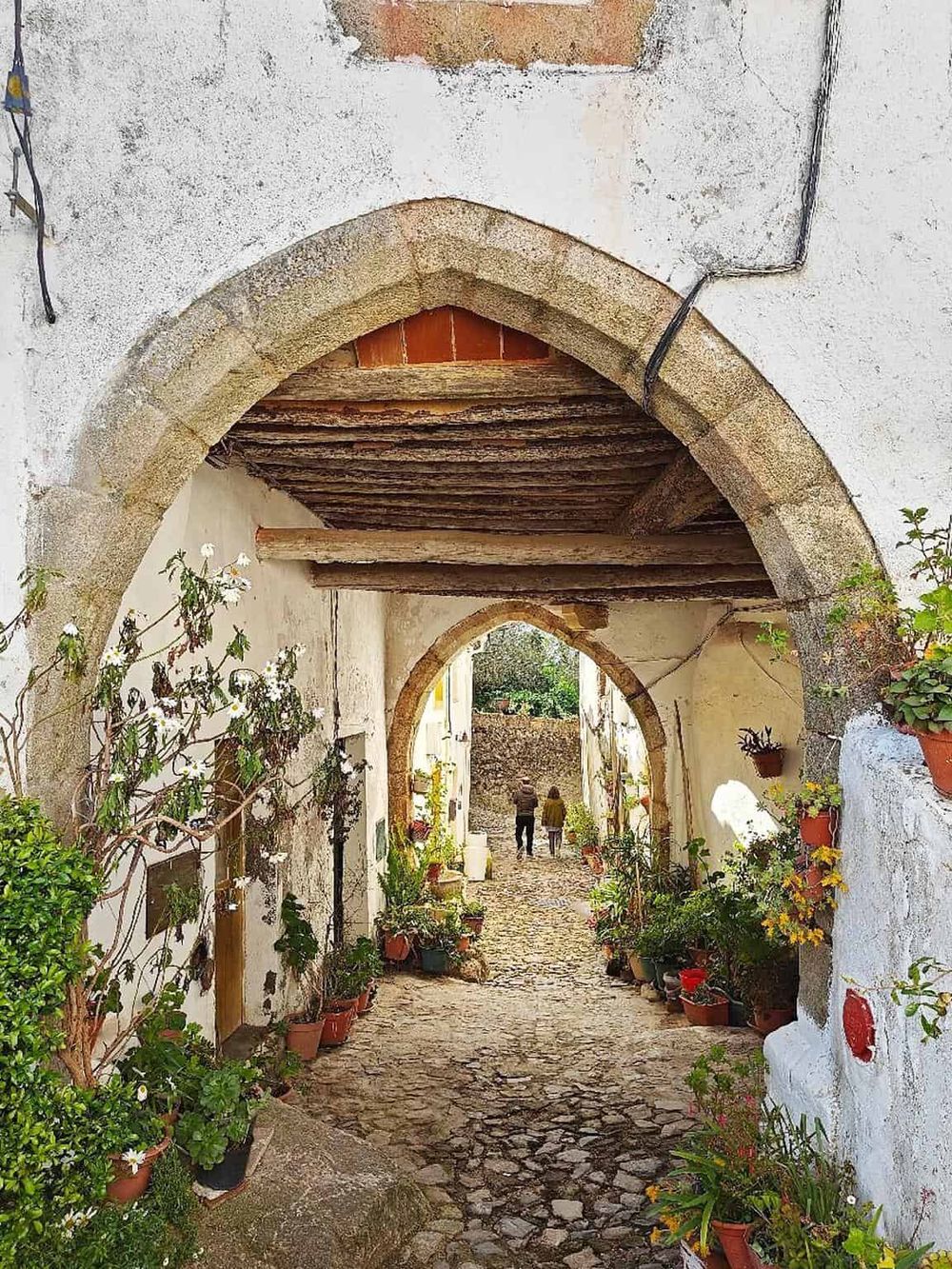 Charming alleyway with stone arches, rustic decor, and vibrant potted plants, perfect for exploring local hidden gems.