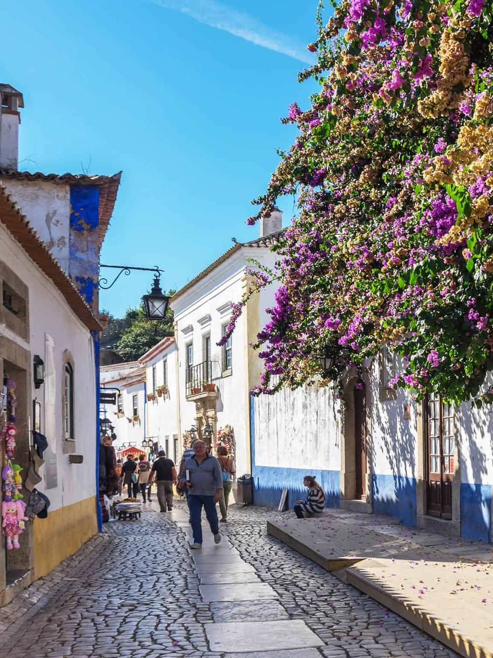 Charming street scene in Portugal with colorful flowers, cobblestone path, and historic white buildings.