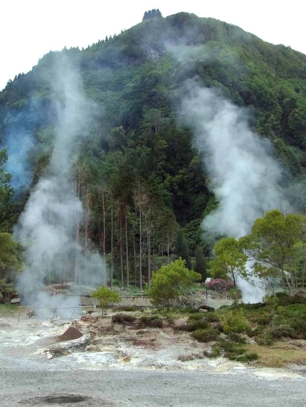 Steaming geothermal vents in lush green mountainous landscape, popular for adventure travel.