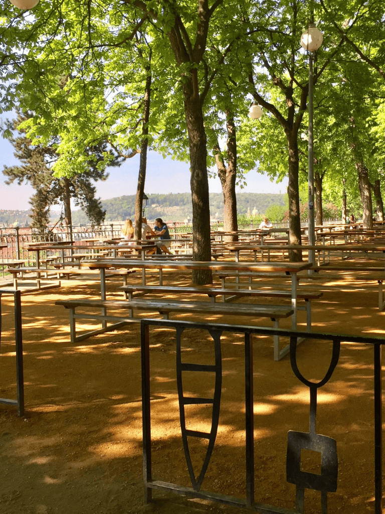 Bright outdoor park with shaded trees, picnic tables, and people relaxing under the sun.