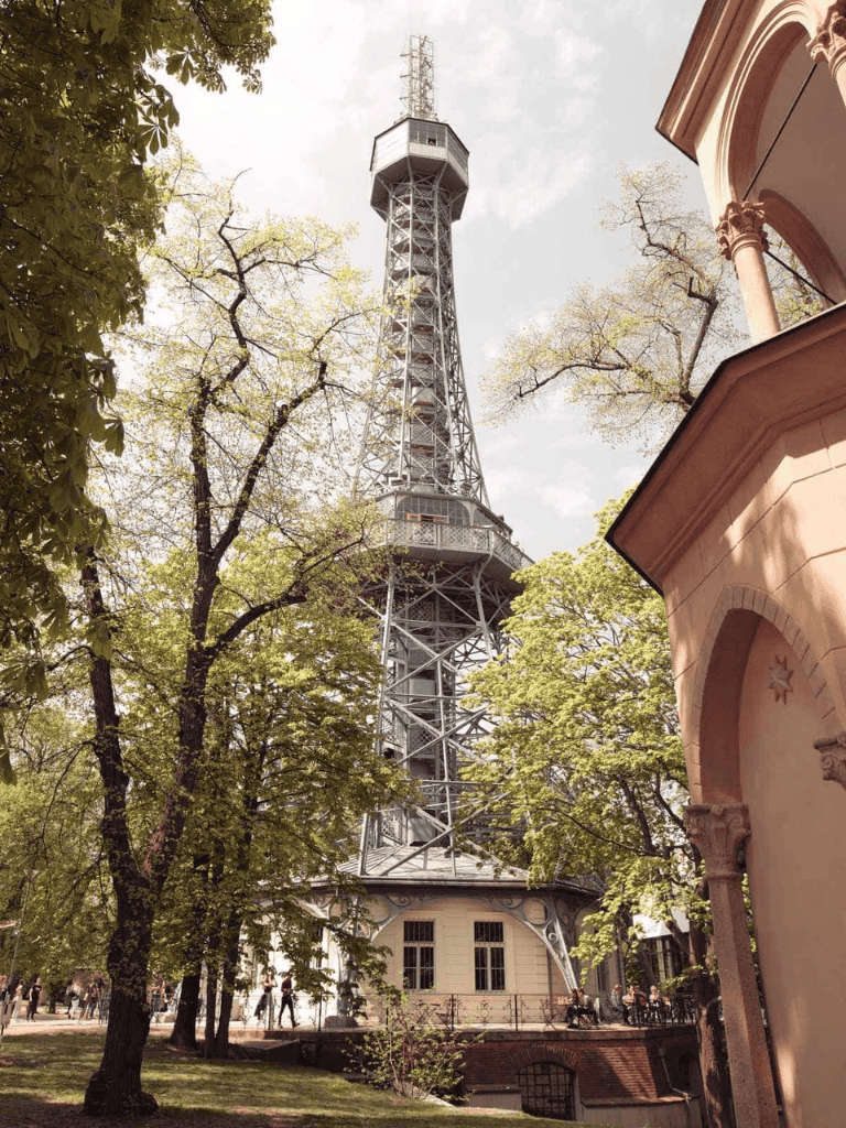 Historic San Francisco Coit Tower, surrounded by trees and classic architecture.