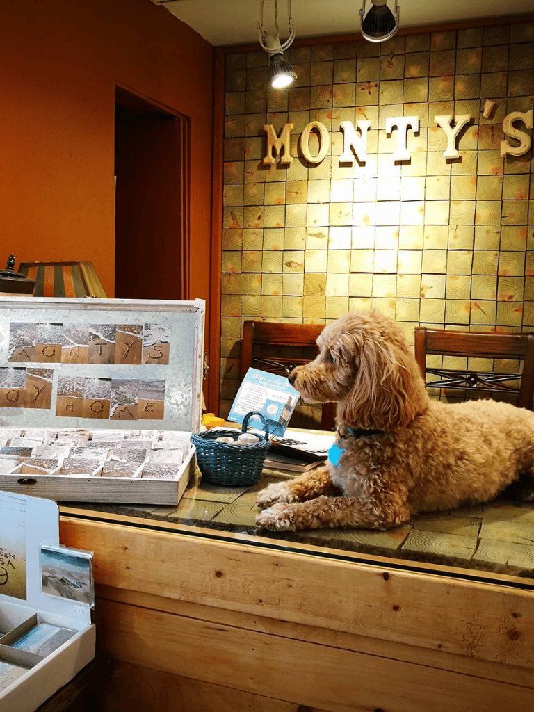 Dog sitting on table in Monty's interior with decorative wall tiles and wooden chairs.