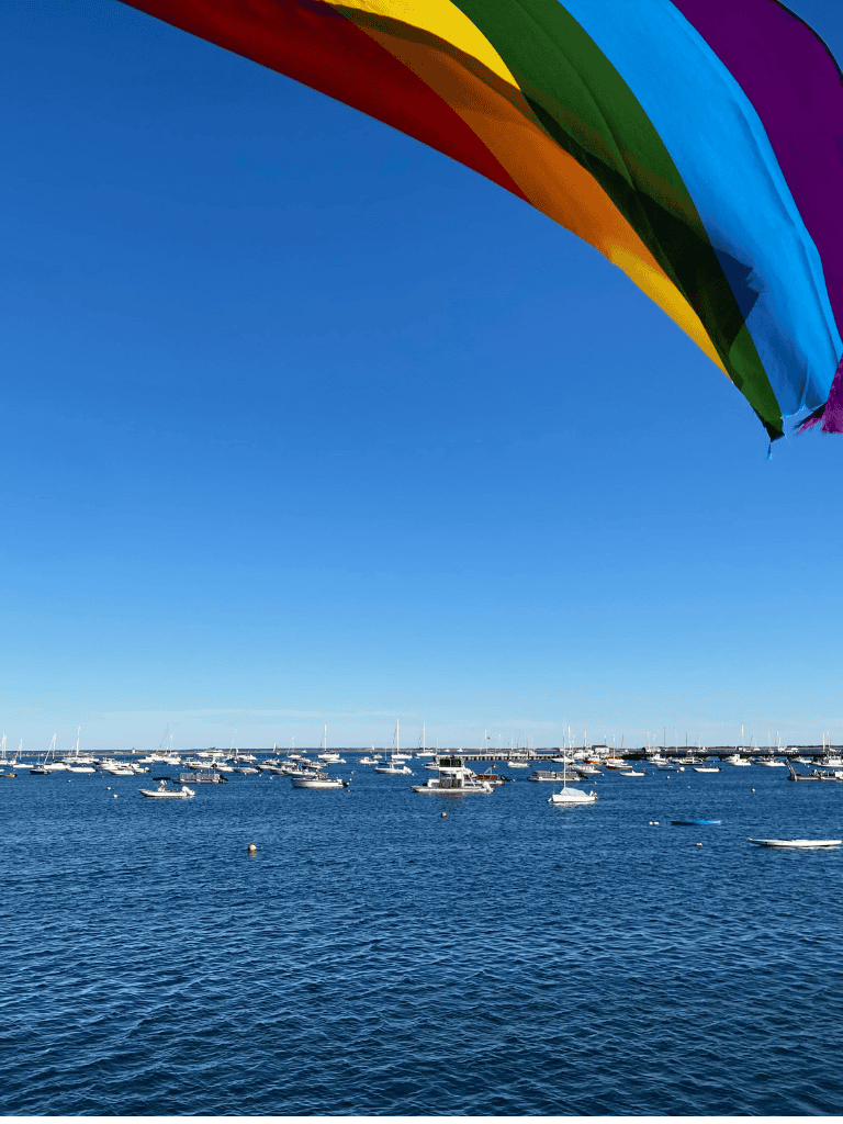 Colorful rainbow kite over marina with boats on bright blue ocean, scenic seaside destination.