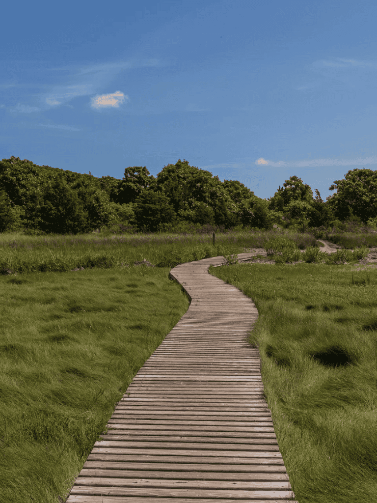 Winding wooden path through lush green meadow under blue sky with clouds.