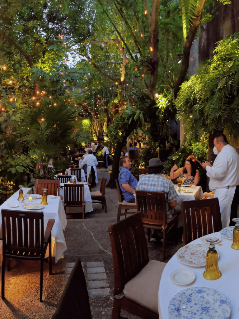 Lush outdoor dining area with string lights, surrounded by tropical plants and relaxed ambiance.