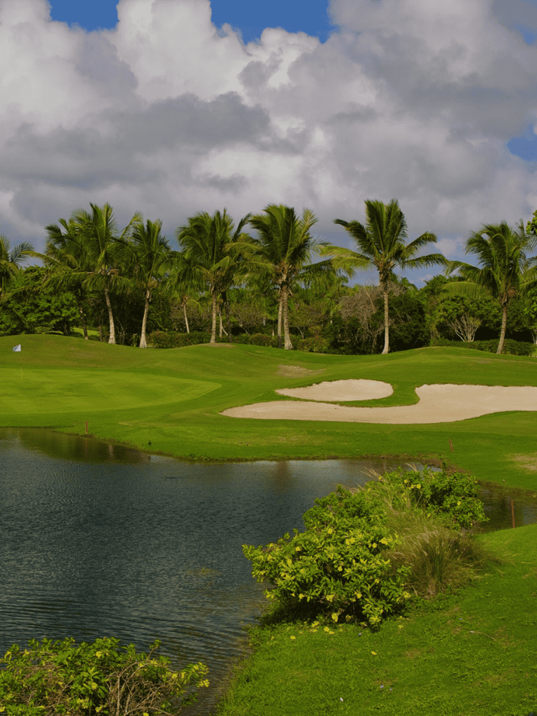 Lush golf course with palm trees and water hazard under cloudy sky.