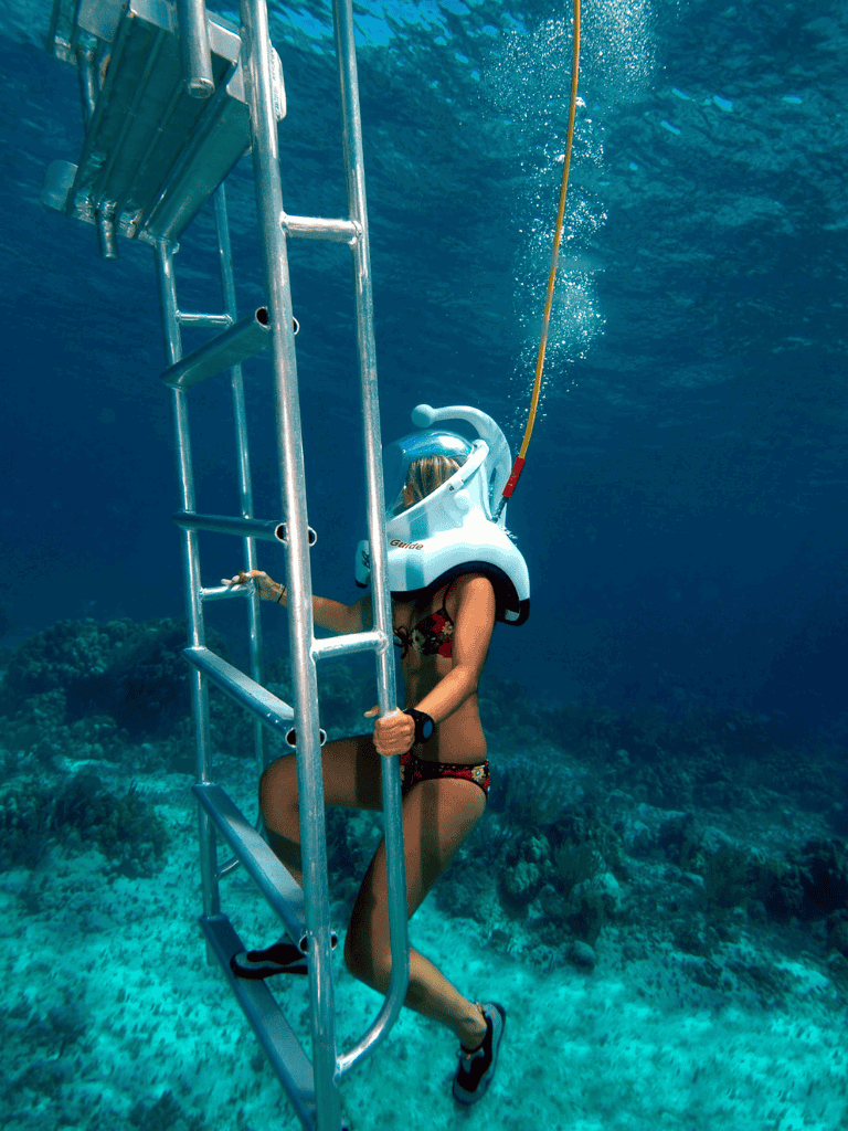 Diving into ocean adventure with scuba gear and underwater exploration.