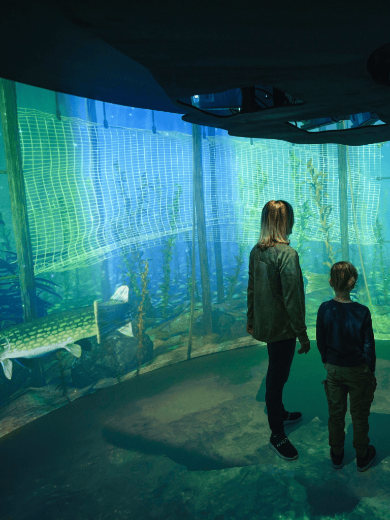 Colorful underwater aquarium exhibit with two children observing fish and aquatic plants for family-friendly marine life experience.
