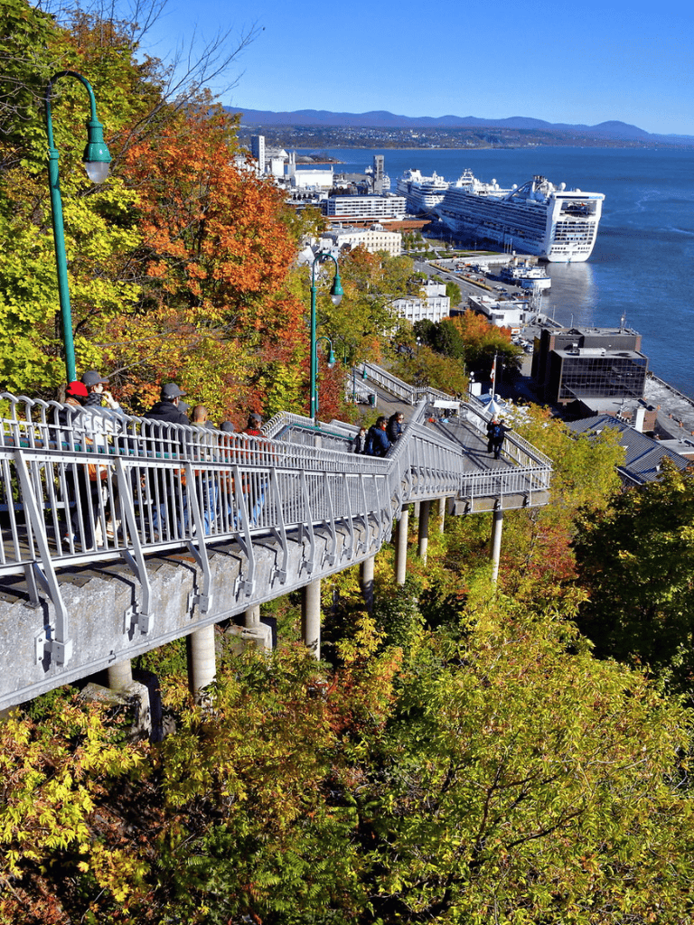 Vancouver street park and scenic harbor view with cruise ships and autumn foliage.