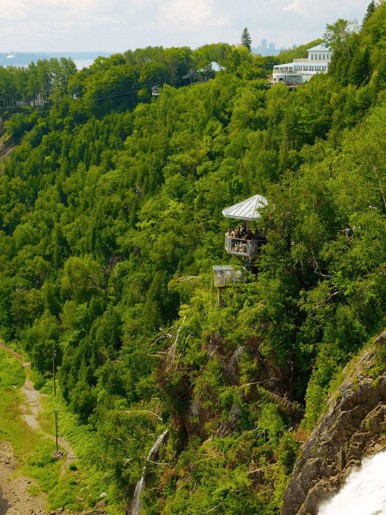 Overlooking lush green forest with scenic outdoor dining pavilion on a hillside.