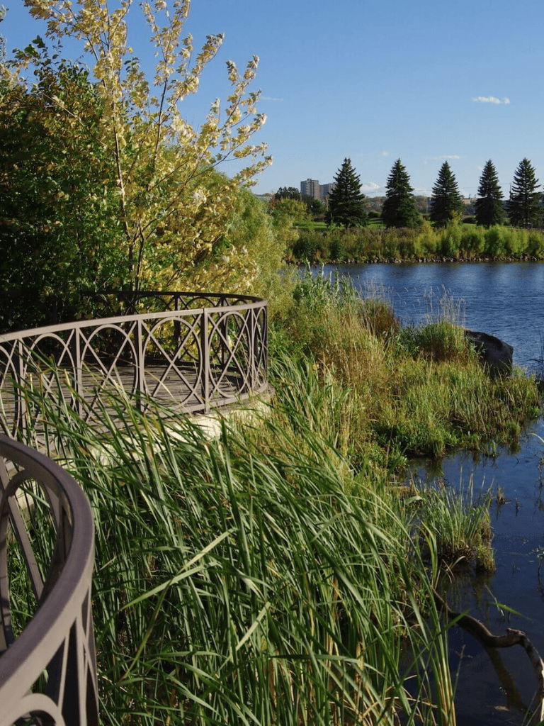 Tranquil river park with walking paths, lush greenery, and city views, perfect for outdoor recreation.