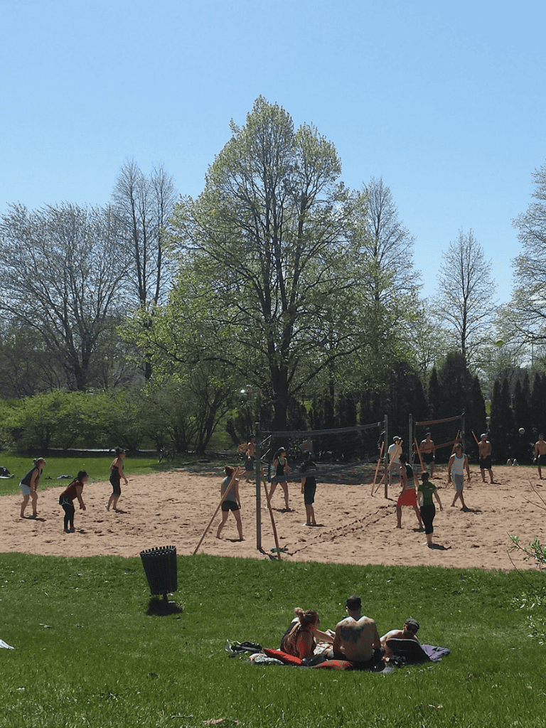 Kids playing volleyball outdoors in a park on a sunny day, ideal for outdoor activities and family fun.