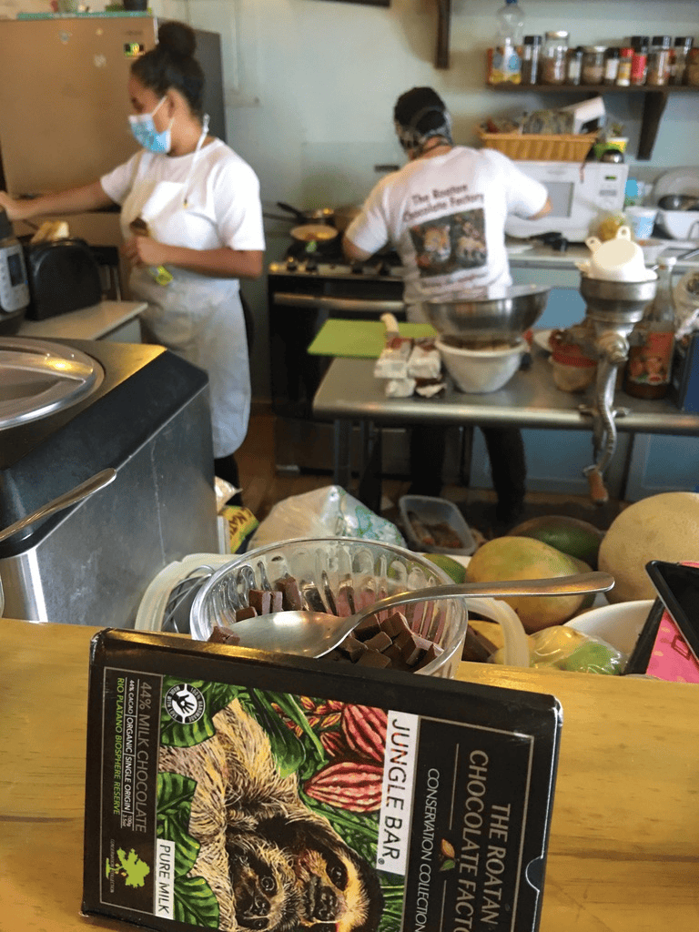 Organic dark chocolate jungle bar, eco-friendly packaging, in a cozy kitchen scene.