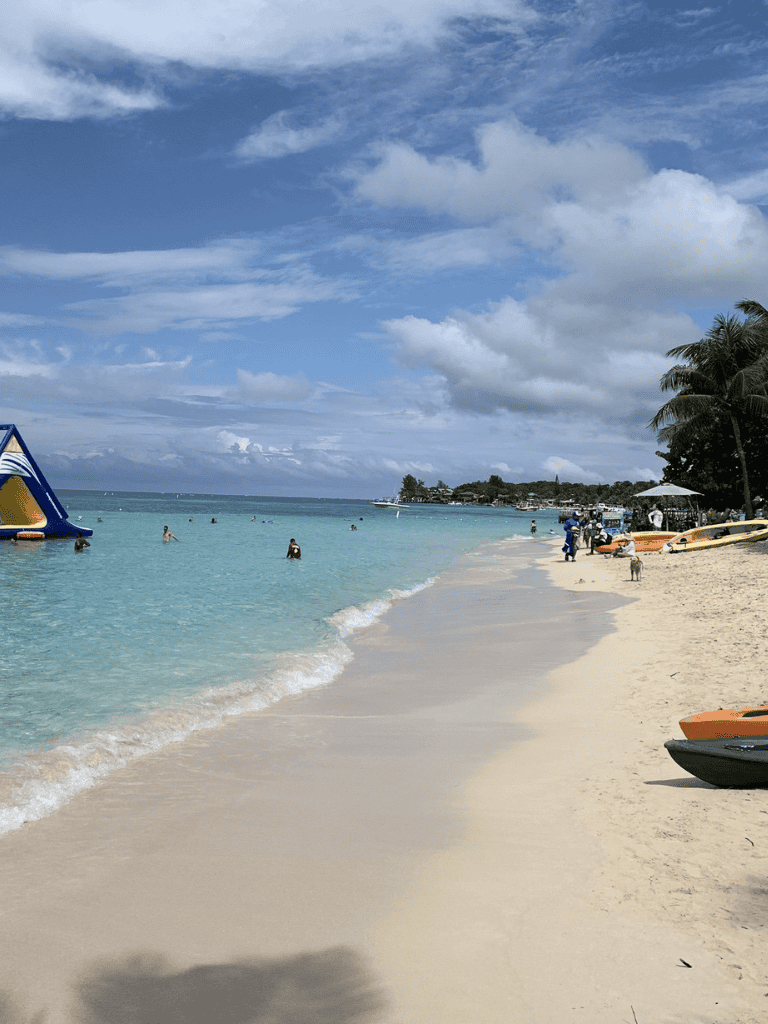Relaxing beach scene with clear turquoise waters and palm trees, perfect for vacation planning and seaside excursions.