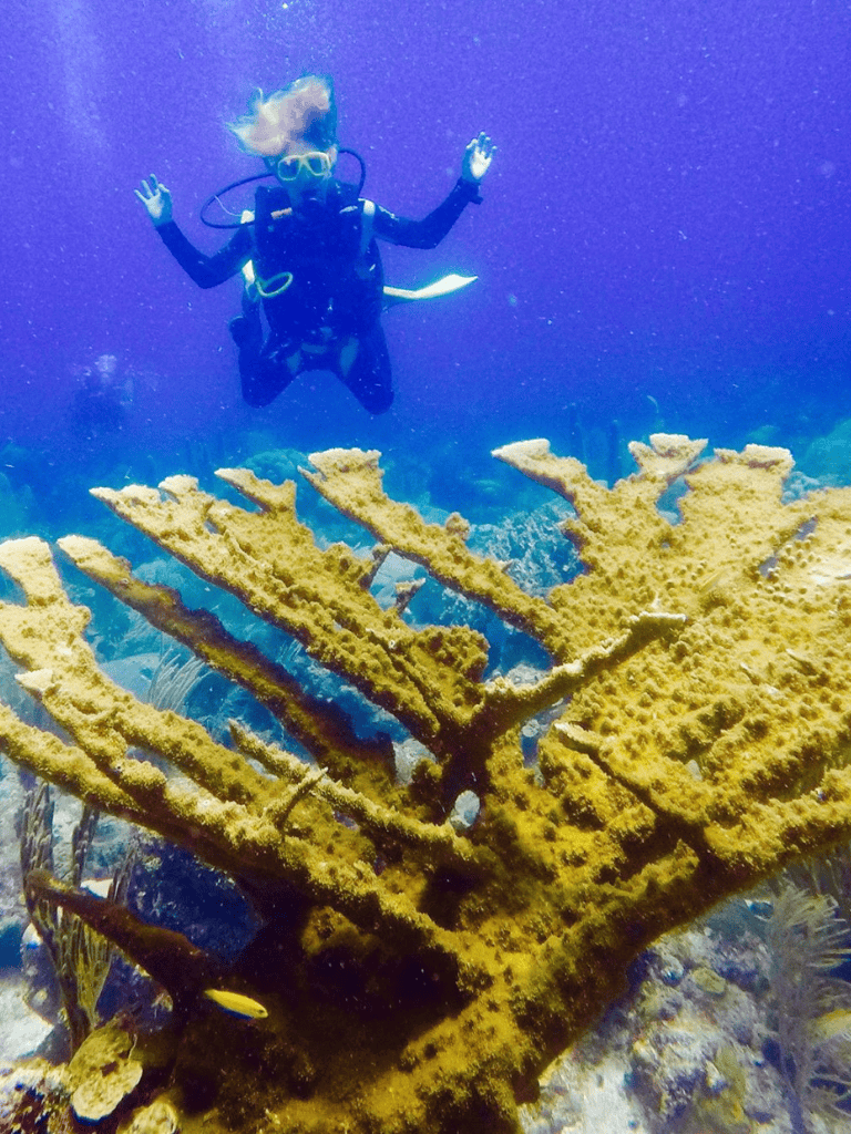 Scuba diver exploring vibrant coral reef underwater scene.