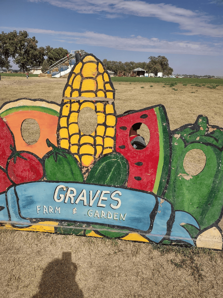 Colorful farm produce display at Graves Farm & Garden.