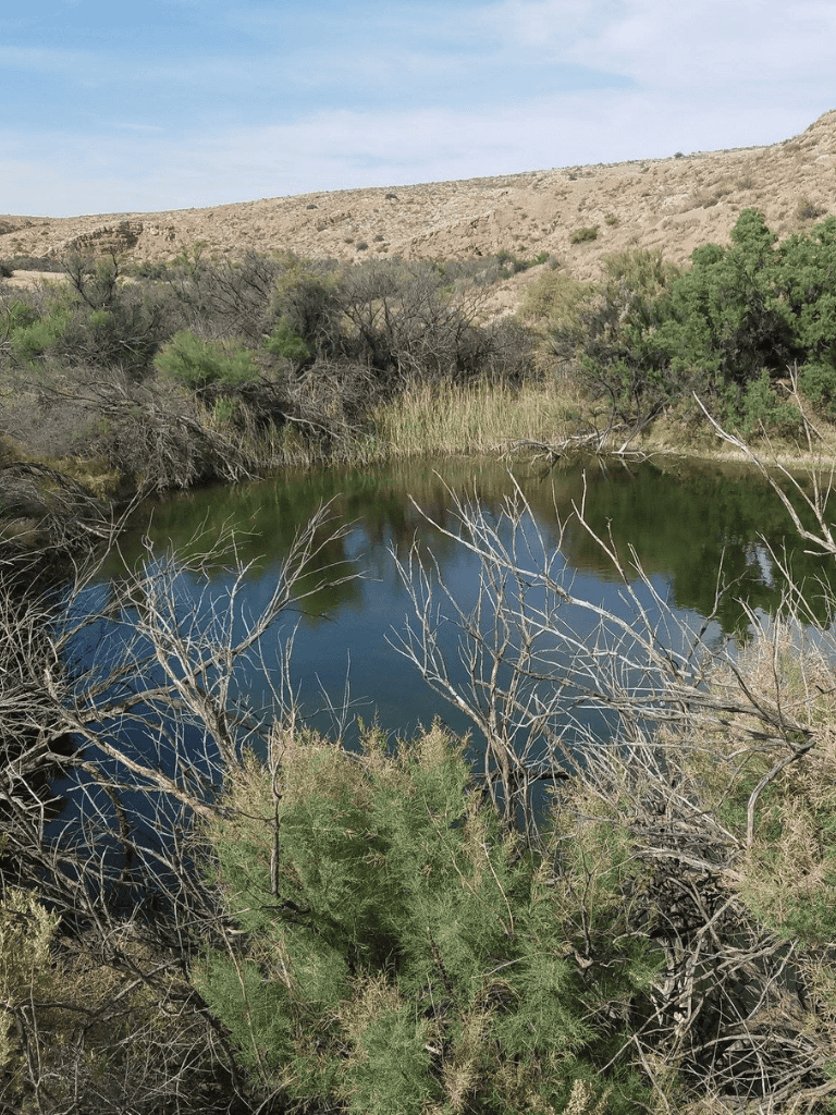 Tranquil desert waterway surrounded by vegetation, mountains, and clear sky, perfect for outdoor exploration.
