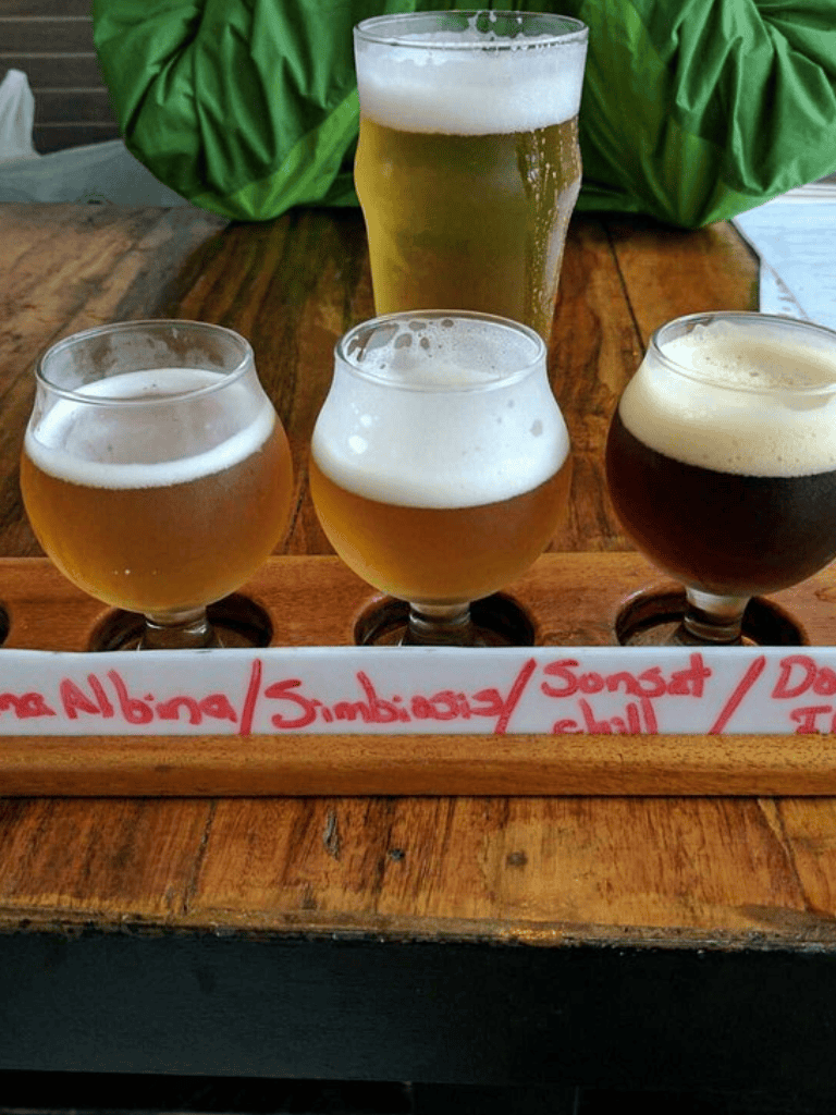 Aromatic craft beers tasting flight with a variety of flavors at a brewery.