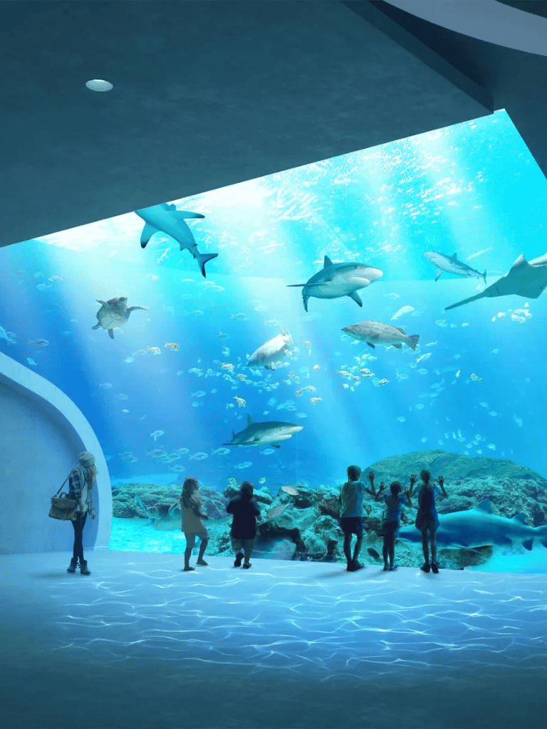 Colorful aquarium with diverse marine life for family fun and educational visits.