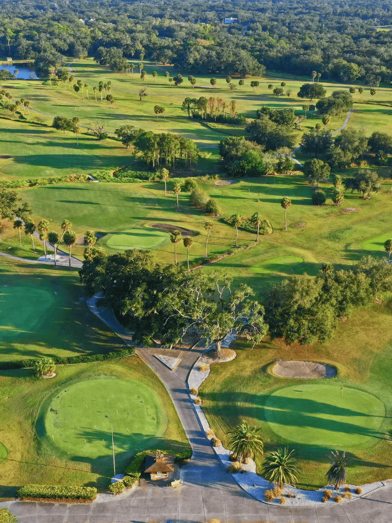 Lush golf course with palm trees, scenic fairways, and greens, ideal for golf enthusiasts.