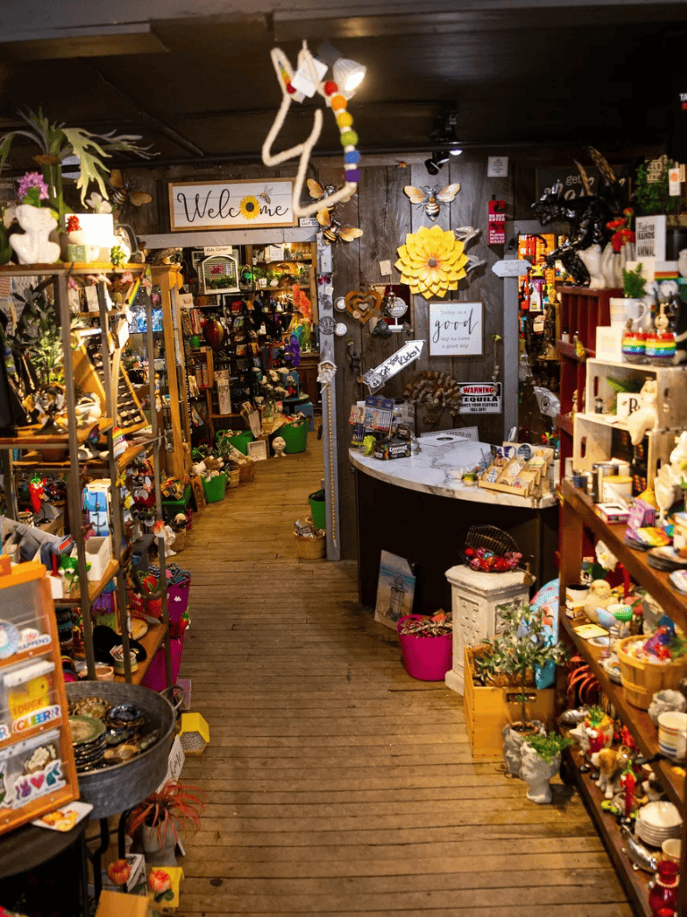 Colorful thrift store filled with eclectic decorations, toys, and home decor items on shelves and tables.