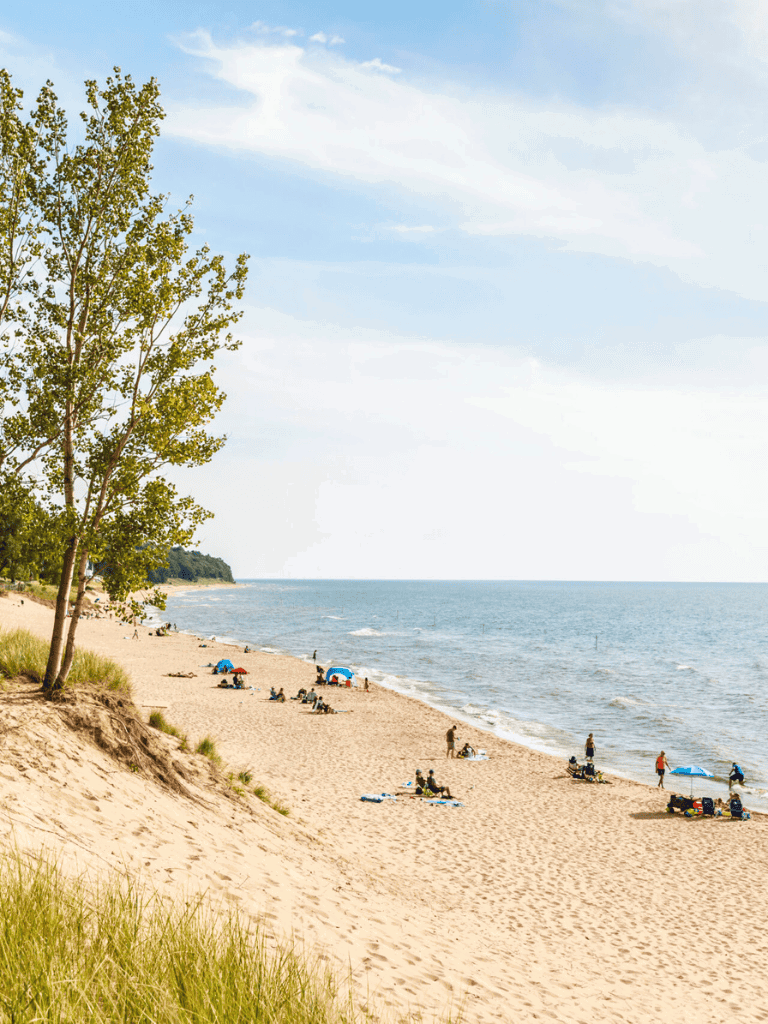 Relaxing beach scene with sand, water, and people enjoying outdoor activities.