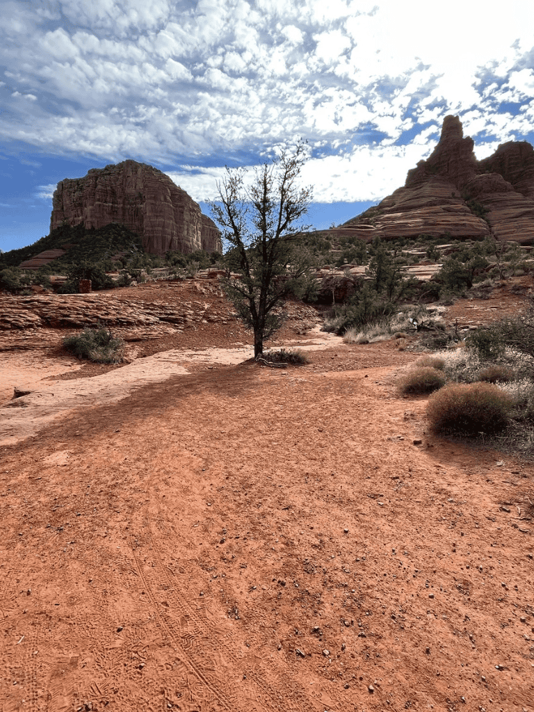 Vibrant desert trail with rock formations and scenic sky, perfect for adventure and exploration.