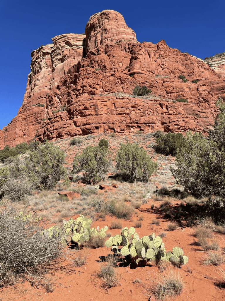 Red rock formations in the desert, typical of the scenic landscape at QuestForDirections.