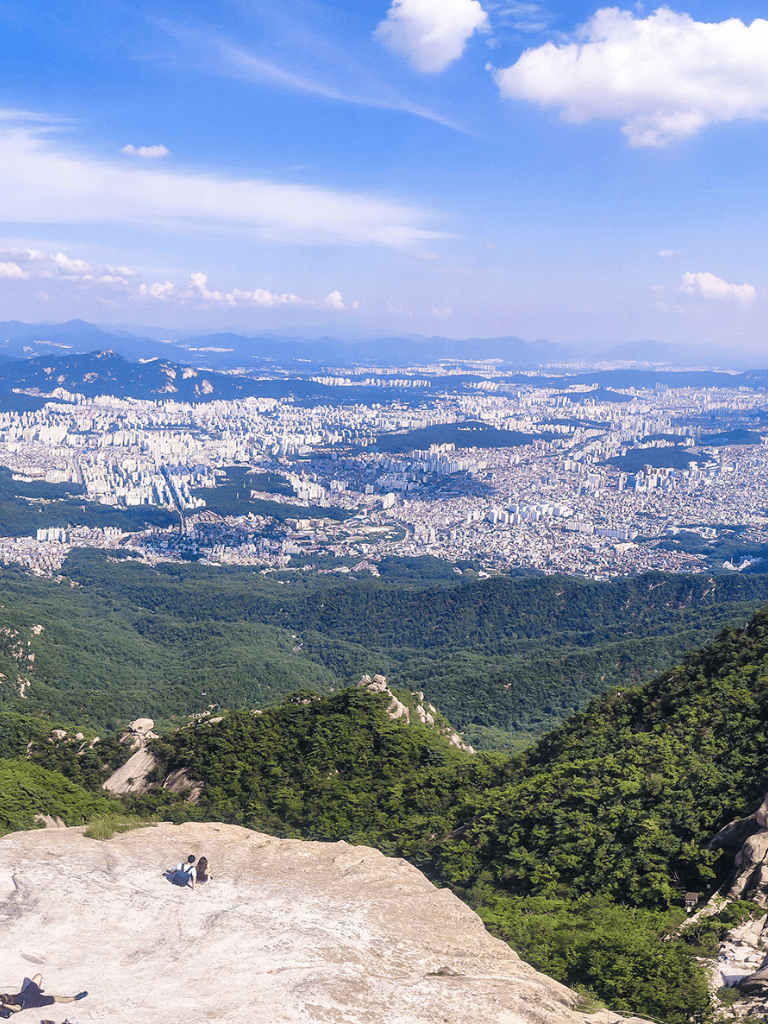 Breathtaking city view from mountain peak with lush greenery and distant urban skyline.
