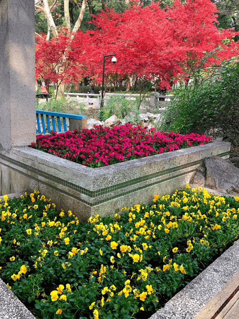 Beautiful autumn park with vibrant red, pink, and yellow flowers and lush greenery, ideal for relaxing walks.