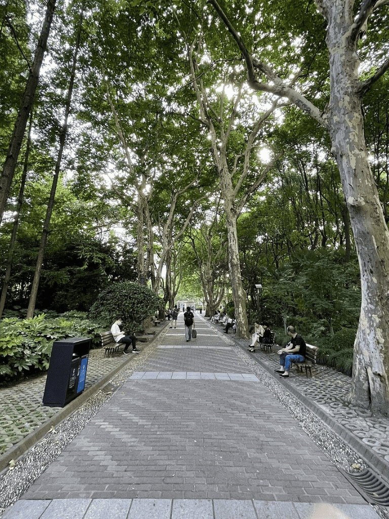 Serene park pathway with tall trees, benches, and visitors enjoying nature, showcasing tranquil outdoor urban space.