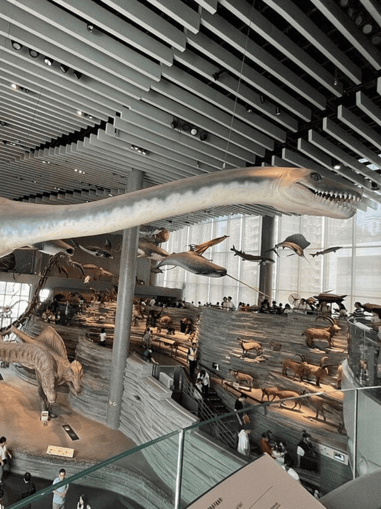 Prehistoric sea life exhibit with large marine creature models at a natural history museum.
