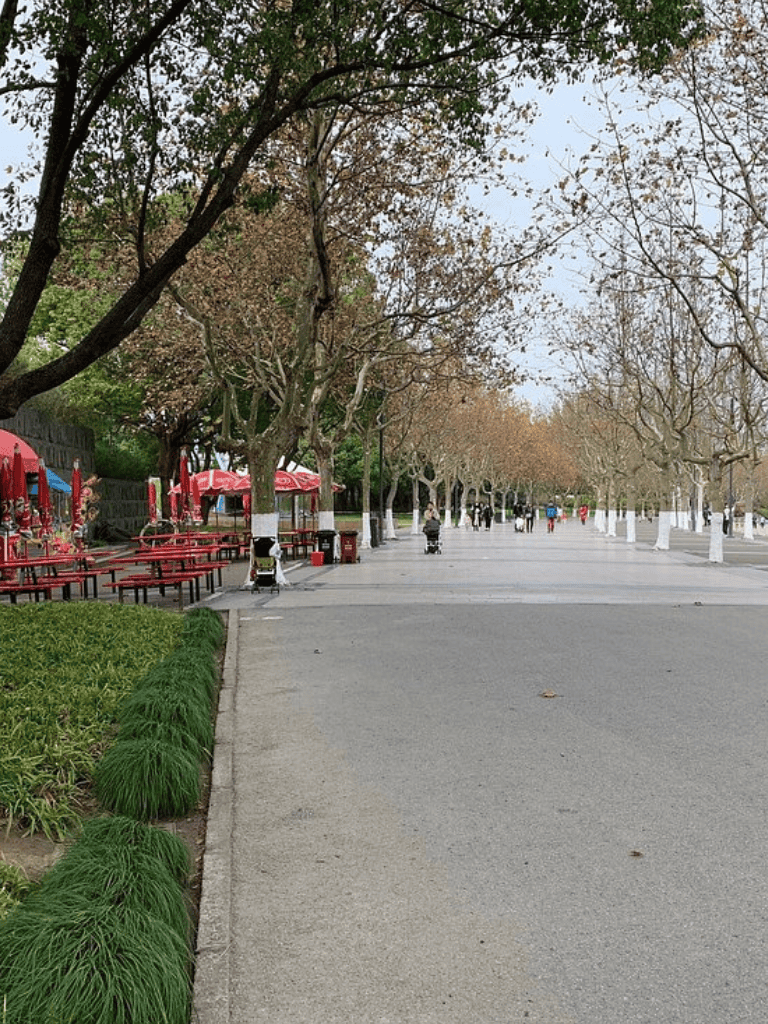 Quiet urban park walkway with trees, benches, and outdoor cafes, perfect for relaxation and leisure.