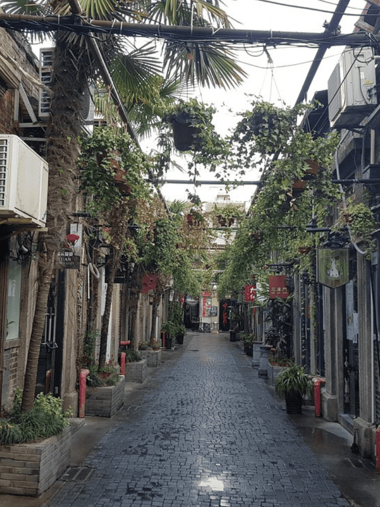 Quiet urban alley with hanging plants, cobblestone path, and cozy shops for dining and shopping.
