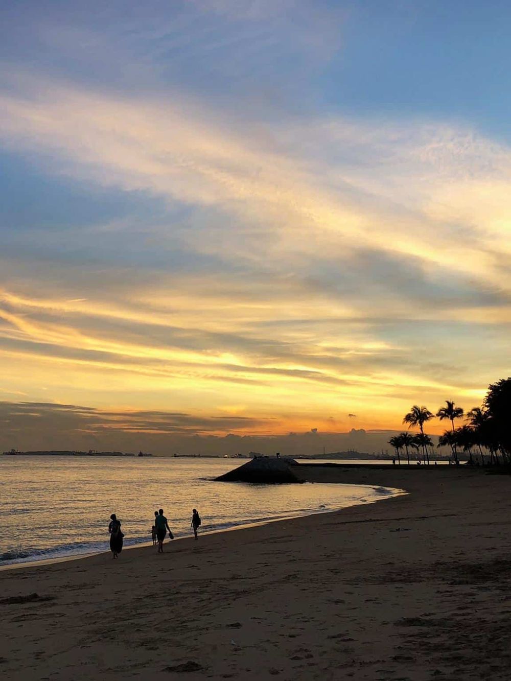 Serene beach sunset with palm trees, calm waters, and people enjoying the scenic view. Perfect for travel and vacation experiences.