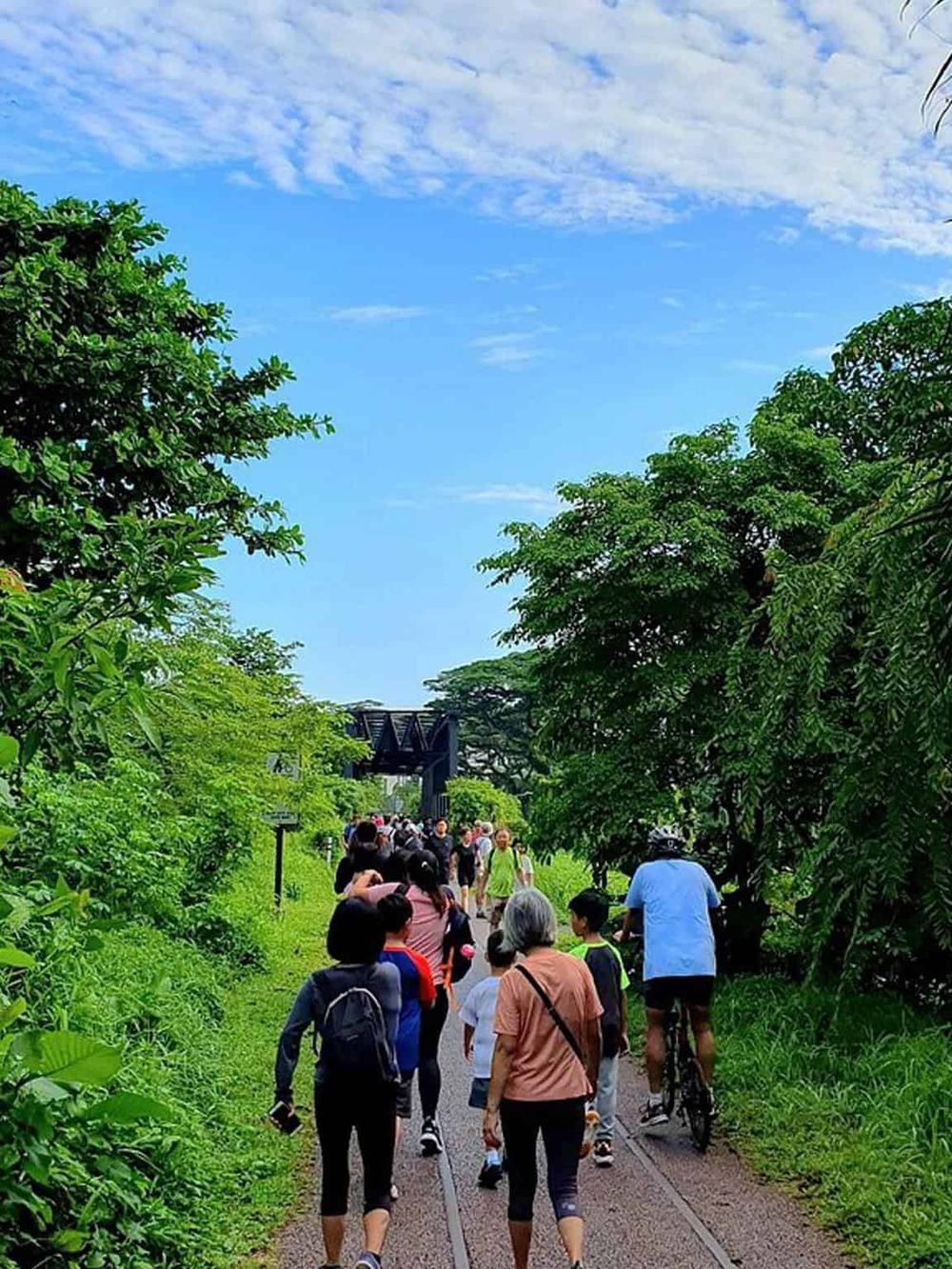 Lush green park trail with diverse walkers and cyclists under a bright blue sky, showcasing outdoor recreation and navigation.