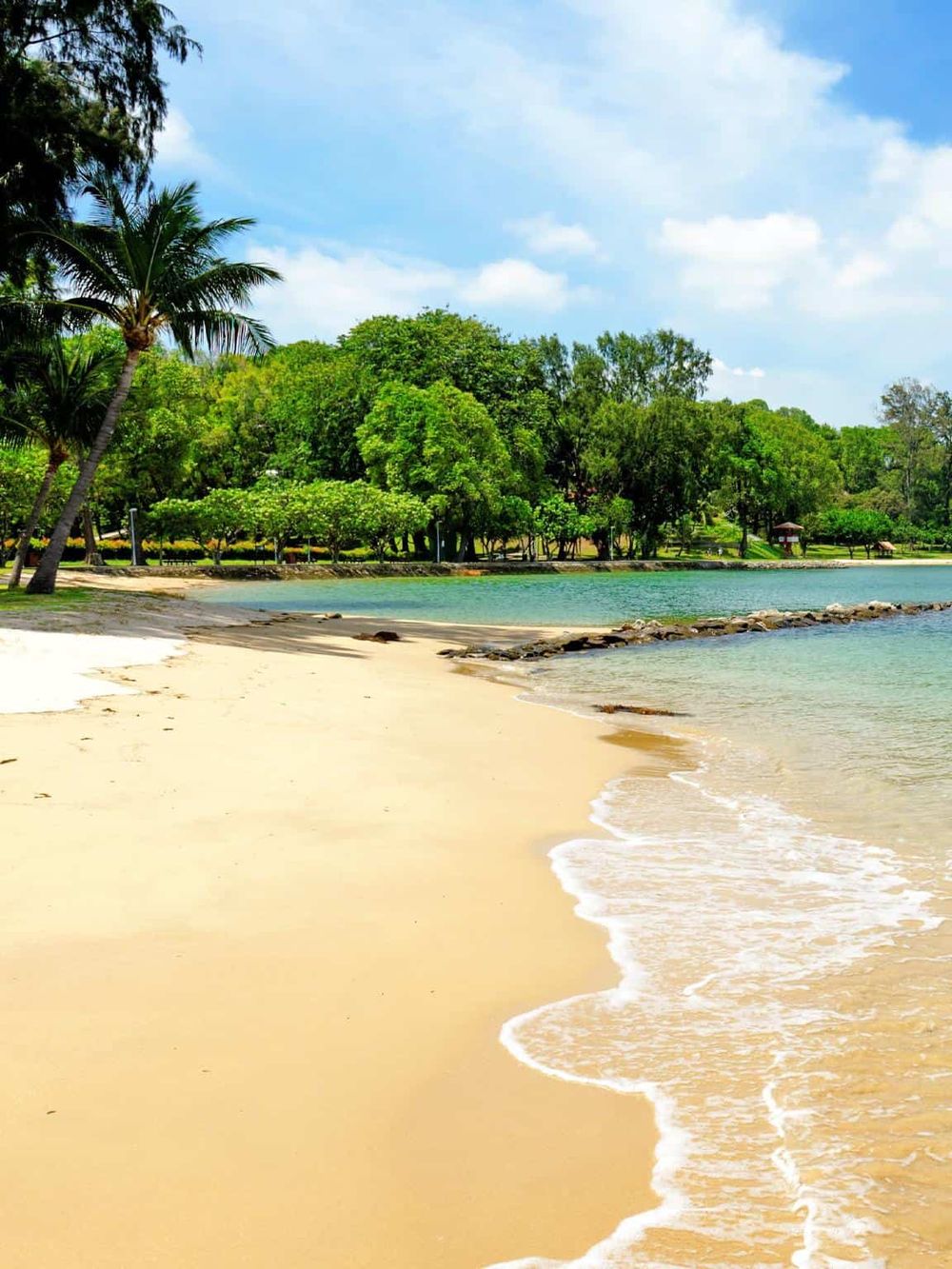 Tranquil beach scene with palm trees, clear water, and lush greenery, perfect for relaxation and tropical travel.
