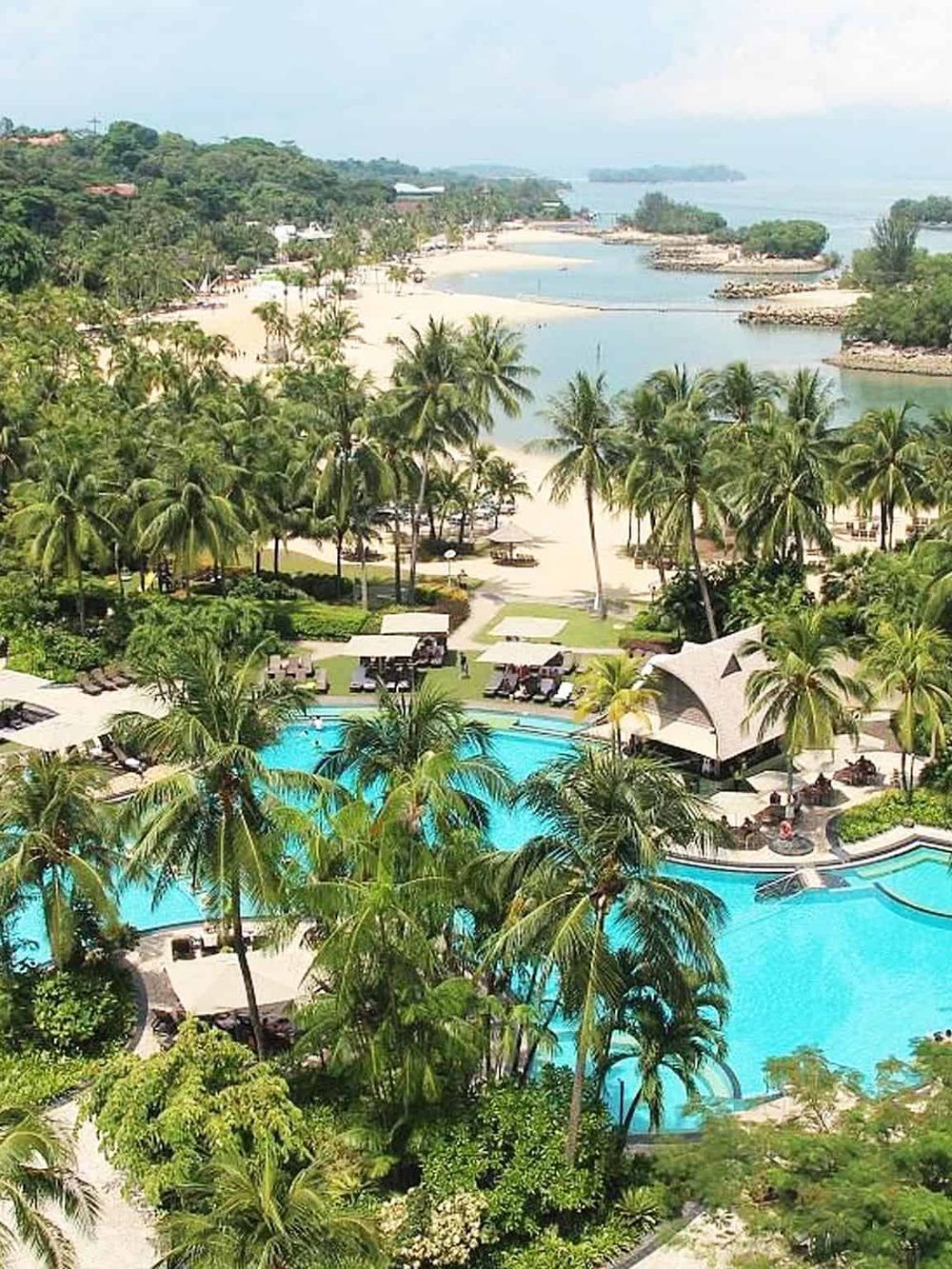 Tropical resort with pool, lush palm trees, beach, and ocean view, perfect for relaxing vacation.