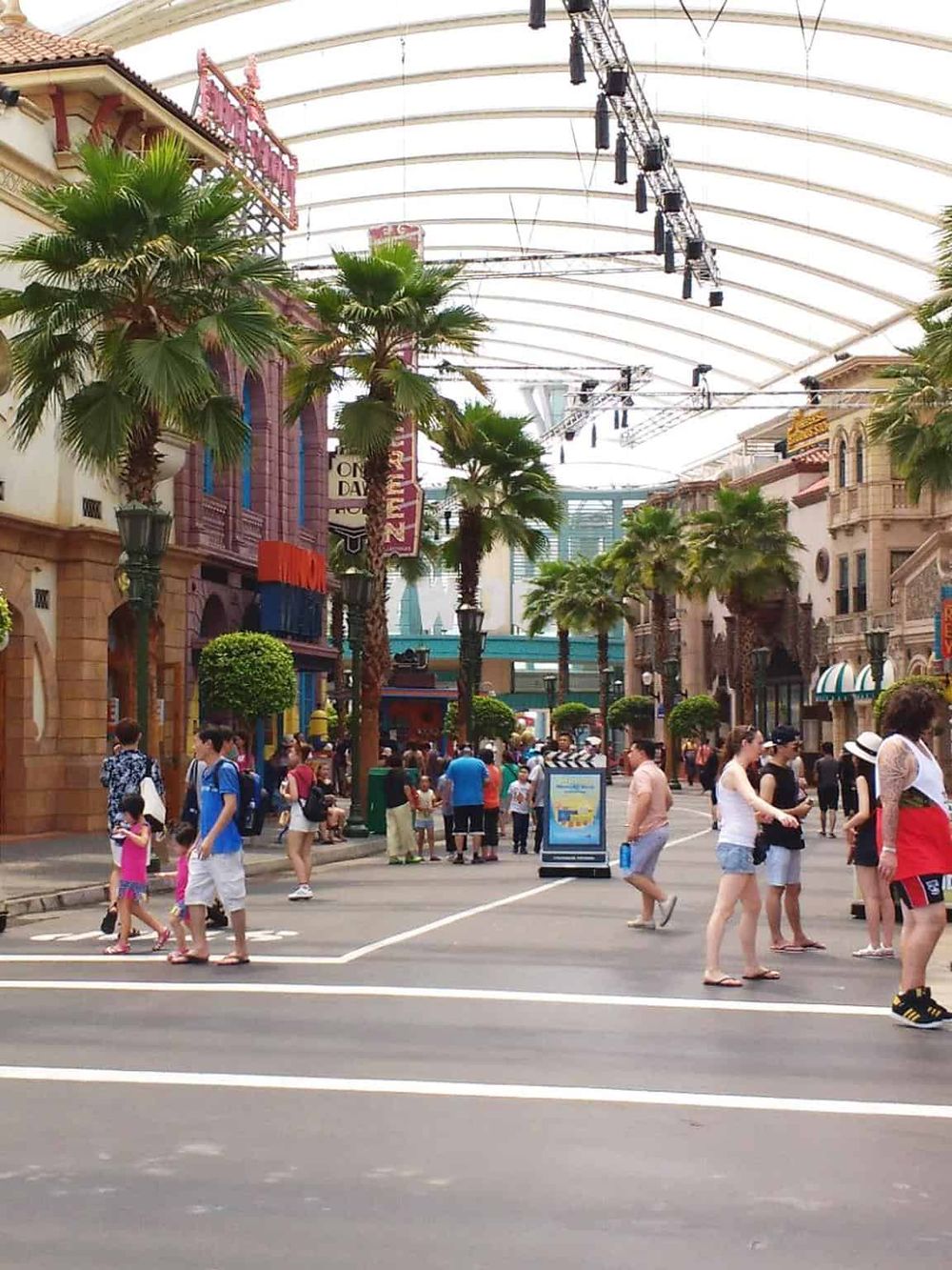 Palm trees and theme park streets at QuestForDirections.