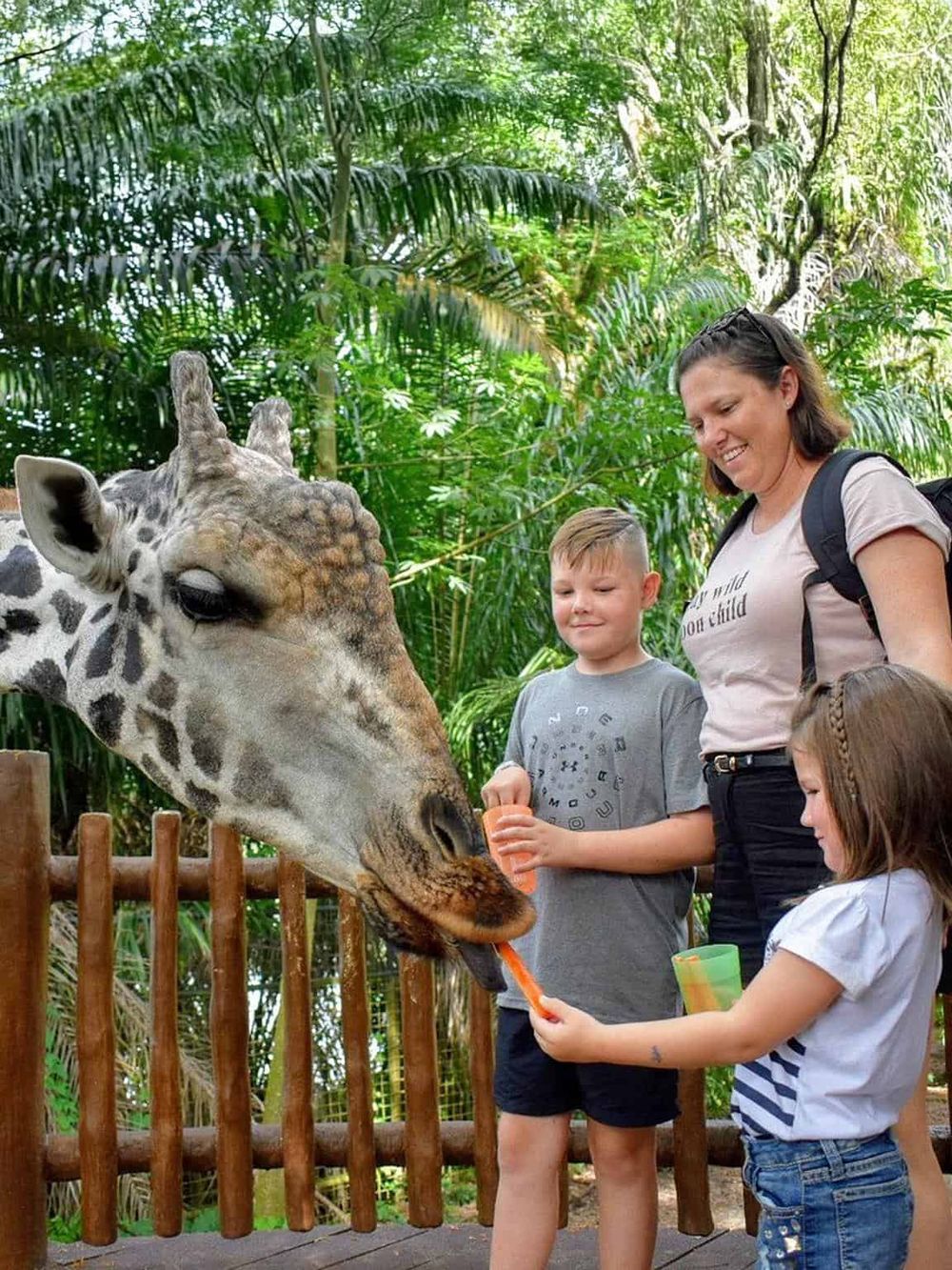 Giraffe feeding at Quest for Directions zoo experience with children and family.