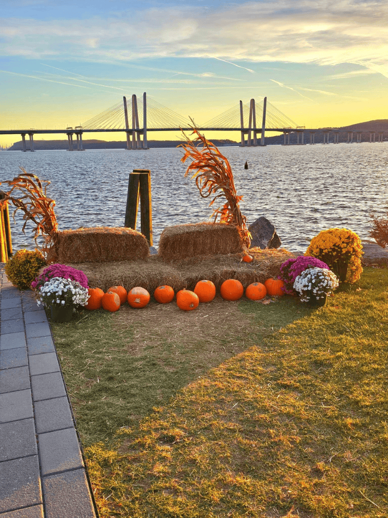 Pumpkin patch with fall decorations overlooking a river and bridge at sunset.