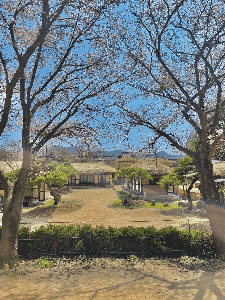 Ancient Korean traditional village with thatched roofs and historic architecture under a clear blue sky.