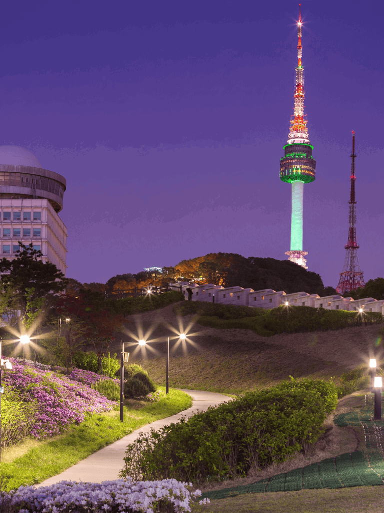 Night cityscape with the N Seoul Tower illuminated, surrounded by flower gardens and pathway lighting, highlighting Seoul landmarks.