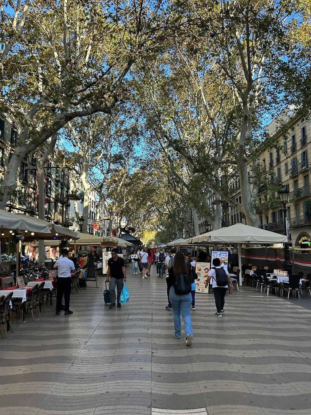 Vibrant street market with outdoor cafes and tall trees, perfect for outdoor dining and exploring local cuisine.