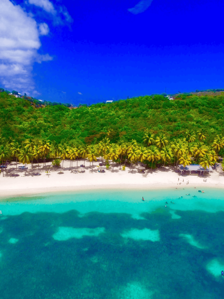 Tropical beach with turquoise water, palm trees, and lush green hills in the background.