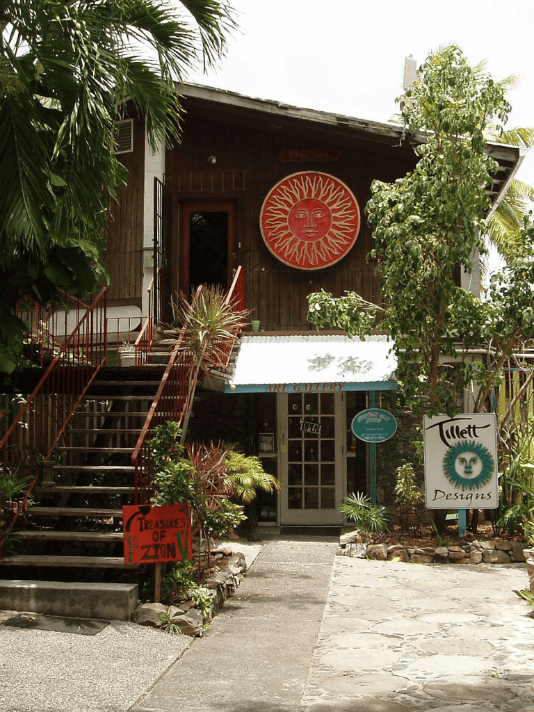 Colorful art gallery and design shop with tropical plants and sun-themed artwork in a lush outdoor setting.