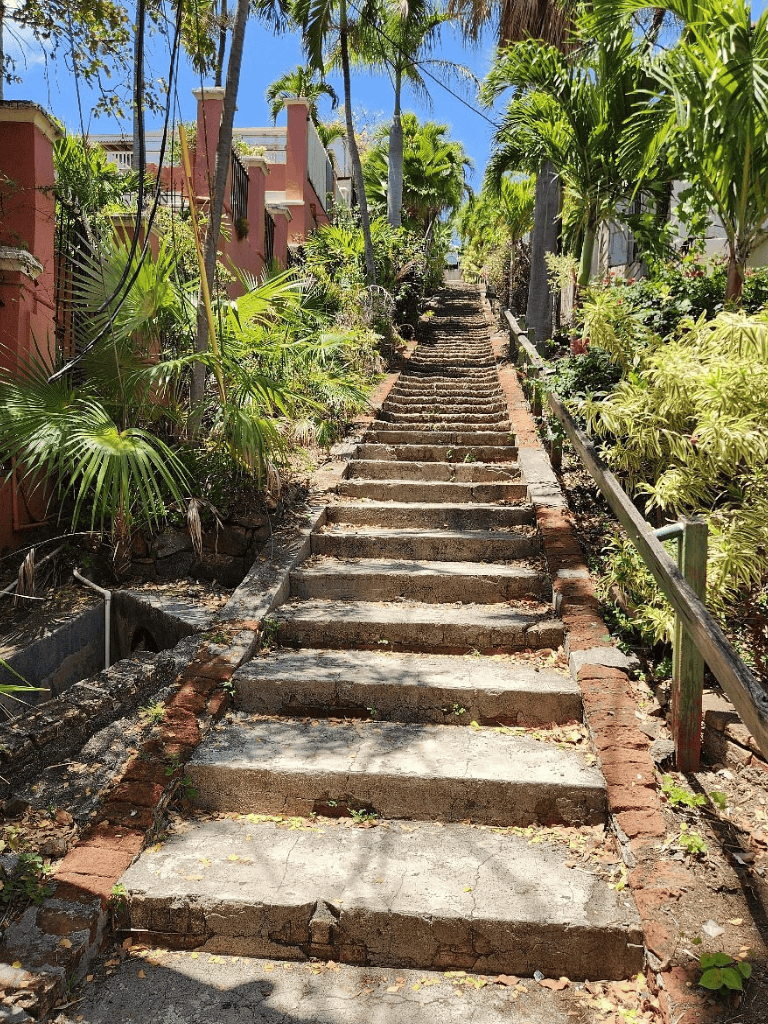 Winding outdoor staircase surrounded by lush tropical plants and colorful buildings in a sunny setting.