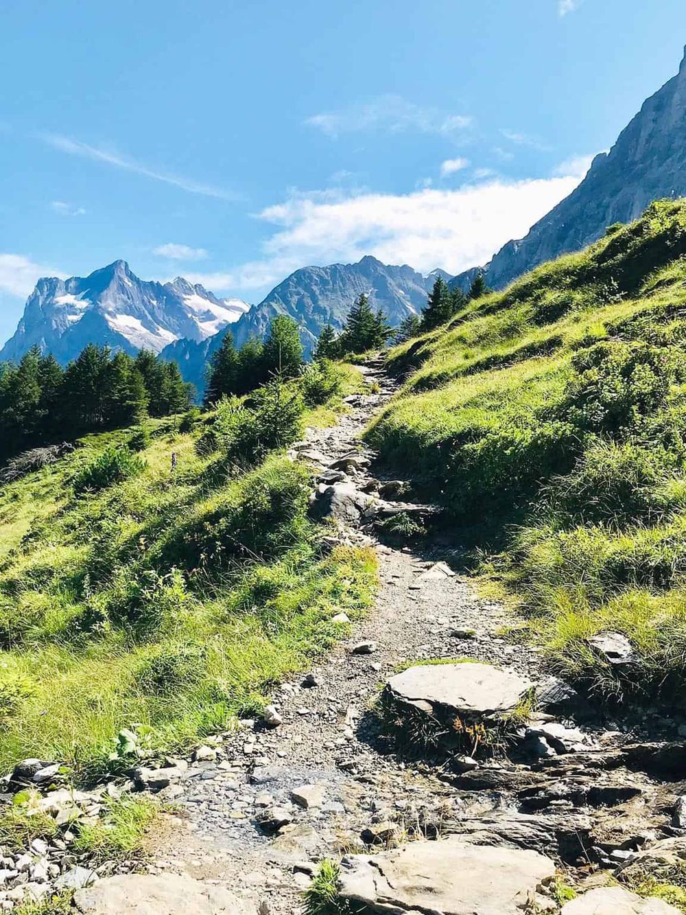 Breathtaking mountain trail with lush greenery and snow-capped peaks, ideal for outdoor adventure seekers.