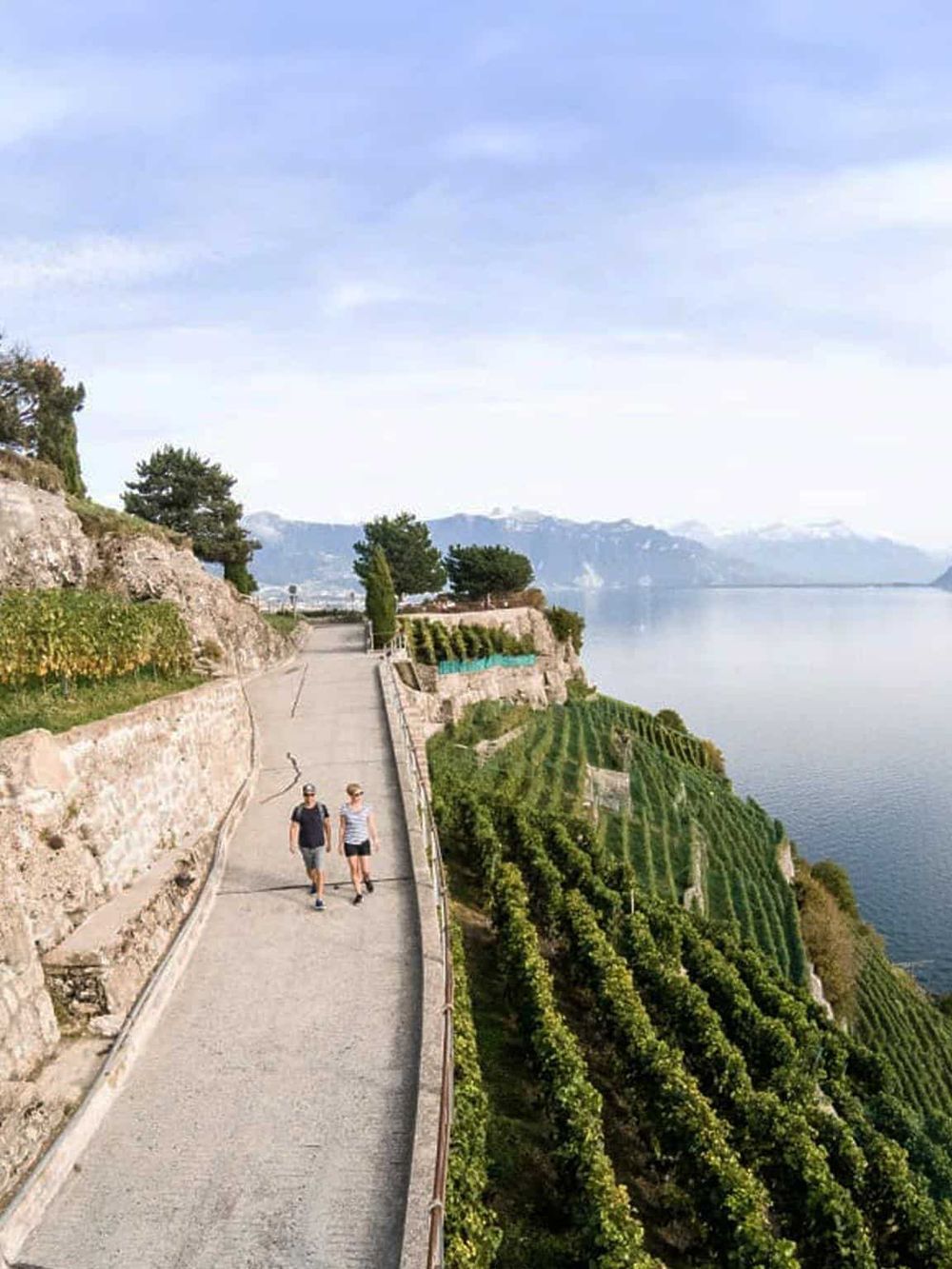 Stunning lakeside vineyard trail in Utah with scenic views and walking path.